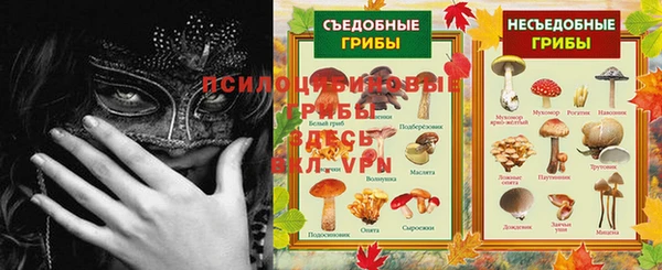 дурь Богородск