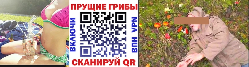 Галлюциногенные грибы MAGIC MUSHROOMS  Новотитаровская 