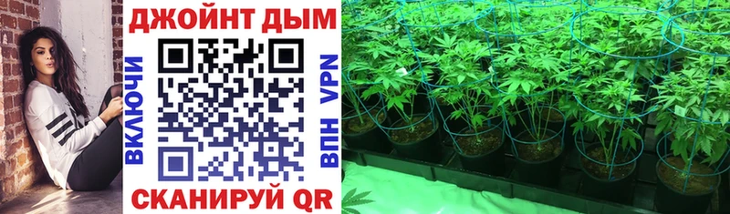 Бошки Шишки VHQ  ссылка на мегу зеркало  Новотитаровская 